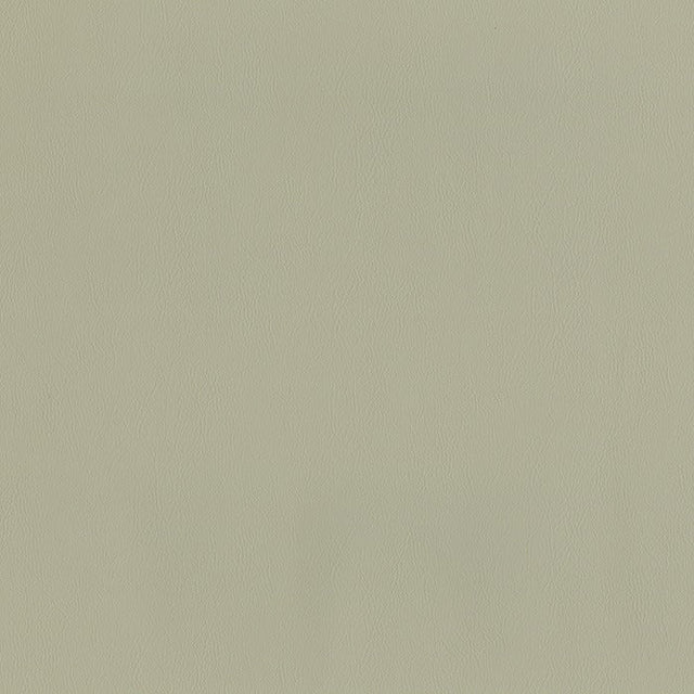 AbbeyShea Guardian 903 Fog Automotive Seating and Upholstery Fabric