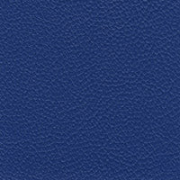 Morbern Marine Allsport Royal Blue AS-106 Upholstery Fabric