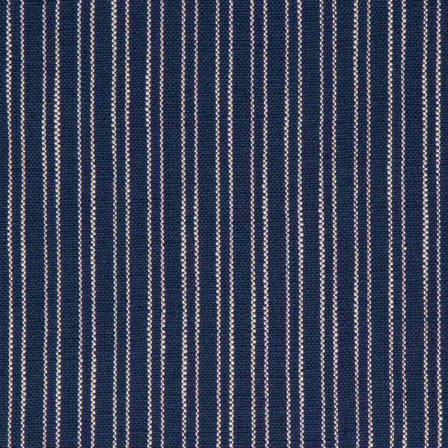 Bella Dura Carsten Shoreline Home Collection Upholstery Fabric