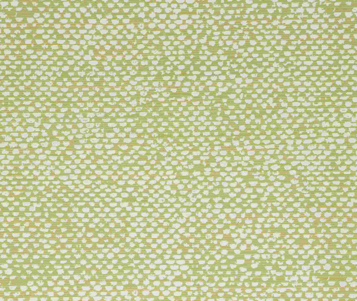 Bella Dura Conga Lime 7355 Upholstery Fabric