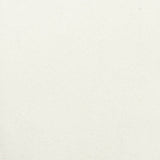 Stout Alaska Ecru 3 No Boundaries Performance Collection Upholstery Fabric