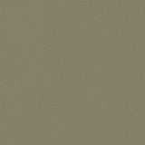Chamea 6 Stone Automotive and Marine Upholstery Fabric