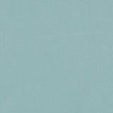 Duralee Aquamarine DV16467-260 Pavilion Inside Out Upholstery Fabric