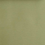 Duralee Celery 15506-533 Pavilion V Bella-Dura Indoor/Outdoor Wovens Upholstery Fabric