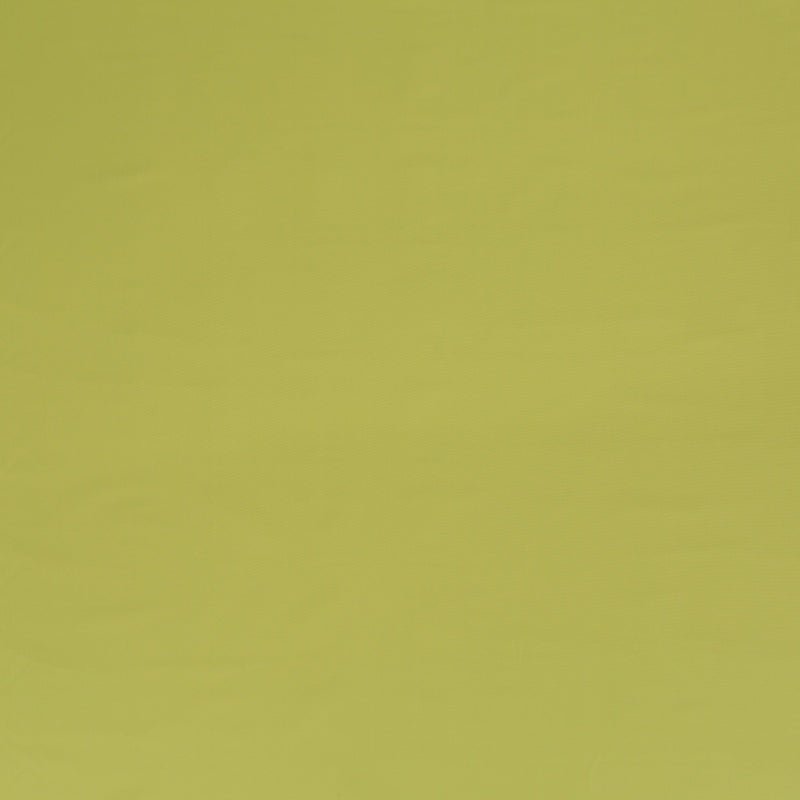 Duralee Celery DW16297-533 Pavilion Indoor/Outdoor Portico Stripes and Solids Collection Upholstery Fabric
