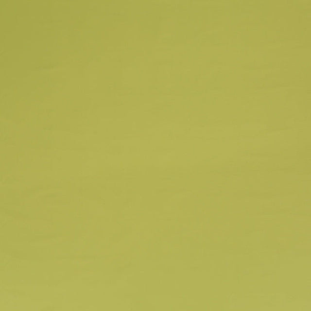 Duralee Celery DW16297-533 Pavilion Indoor/Outdoor Portico Stripes and Solids Collection Upholstery Fabric