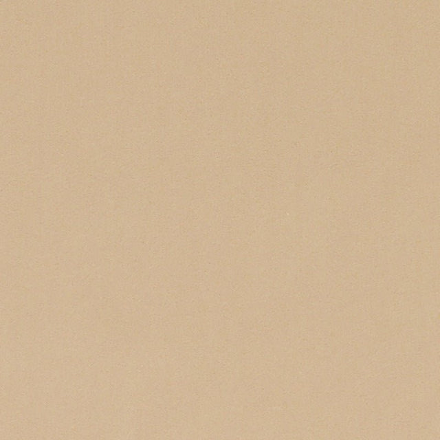 Duralee Jute DV16467-434 Pavilion Inside Out Upholstery Fabric