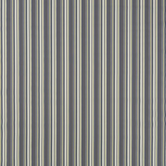 Duralee Multi DW16300-215 Pavilion Indoor/Outdoor Portico Stripes and Solids Collection Upholstery Fabric