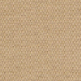 Duralee Straw DW16433-247 Pavilion Inside Out Upholstery Fabric