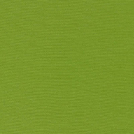 Schumacher Alassio Lime 70992 Riviera Collection Upholstery Fabric