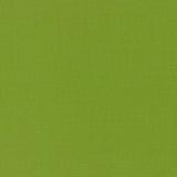 Schumacher Alassio Lime 70992 Riviera Collection Upholstery Fabric