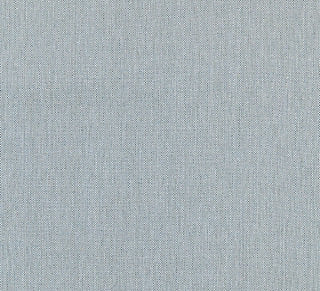 Scalamandre Canvas Storm SC 000527067 Endless Summer Collection Upholstery Fabric