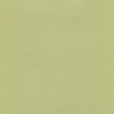 Enduratex Brushed Aluminum Lime Green 400 Upholstery Fabric