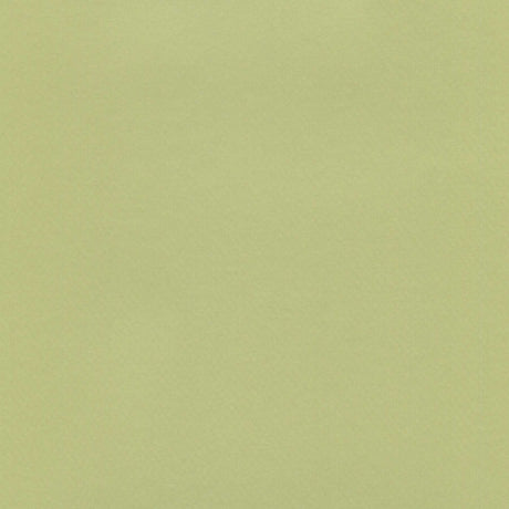 Enduratex Brushed Aluminum Lime Green 400 Upholstery Fabric