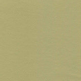 Enduratex Independence Baby Greens 8752 Upholstery Fabric