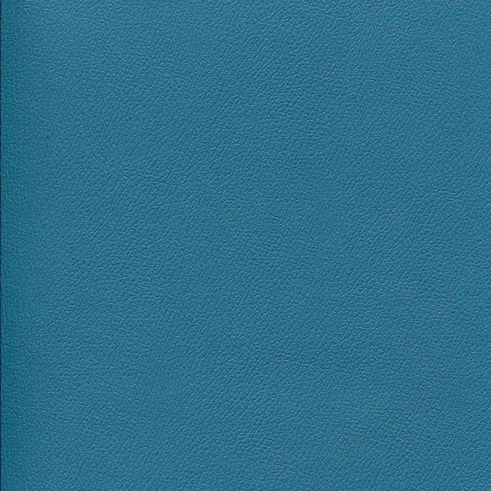 Enduratex Independence Cabana Boy 8758 Upholstery Fabric