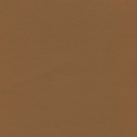 Enduratex Independence Cinnamon 8608 Upholstery Fabric