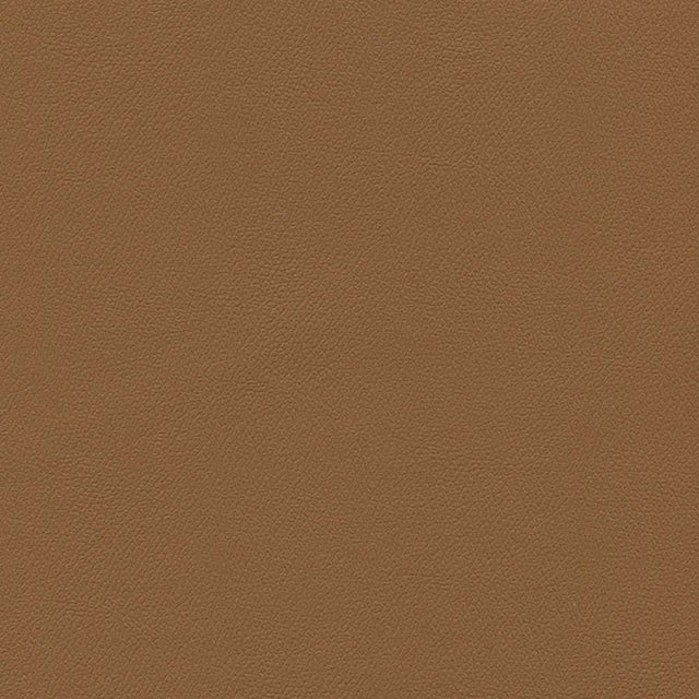 Enduratex Independence Cinnamon 8608 Upholstery Fabric