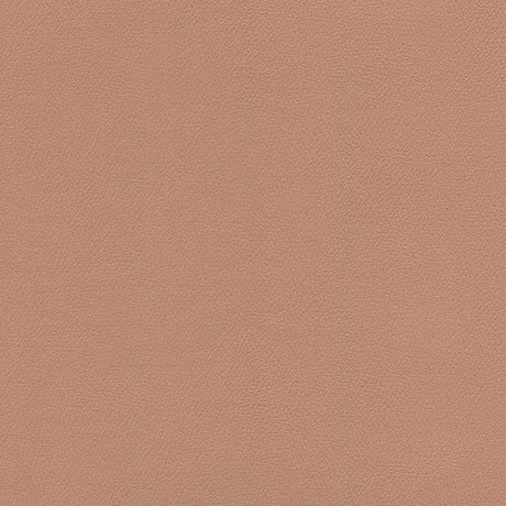 Enduratex Independence Clay 8609 Upholstery Fabric