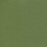 Enduratex Independence Dusty Olive 8764 Upholstery Fabric