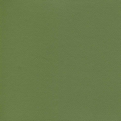 Enduratex Independence Dusty Olive 8764 Upholstery Fabric