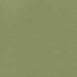 Enduratex Independence Echo Valley 8765 Upholstery Fabric