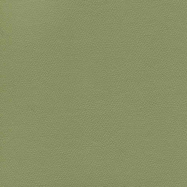 Enduratex Independence Echo Valley 8765 Upholstery Fabric