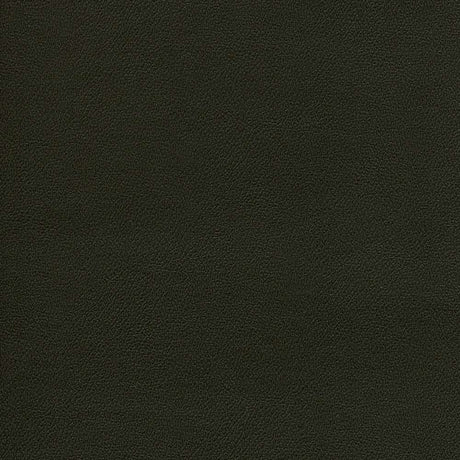 Enduratex Independence Espresso 8405 Upholstery Fabric