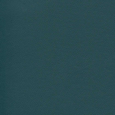 Enduratex Independence Fanta-See 8766 Upholstery Fabric