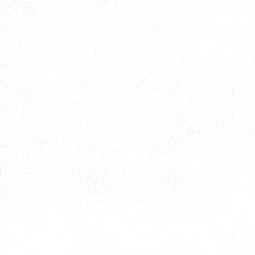 Enduratex Independence Ghostly White 8780 Upholstery Fabric