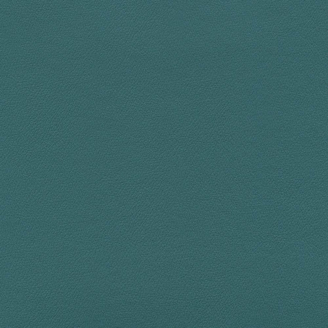 Enduratex Independence Grotto 8564 Upholstery Fabric