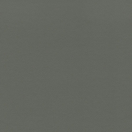 Enduratex Independence Gunmetal 8619 Upholstery Fabric
