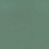 Enduratex Independence Jade 8620 Upholstery Fabric