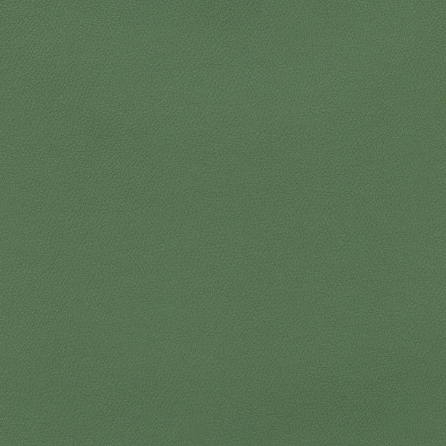 Enduratex Independence Loden 8622 Upholstery Fabric