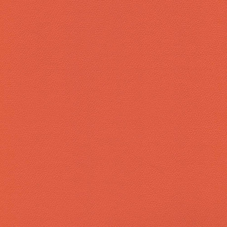Enduratex Independence Mandarin 8625 Upholstery Fabric
