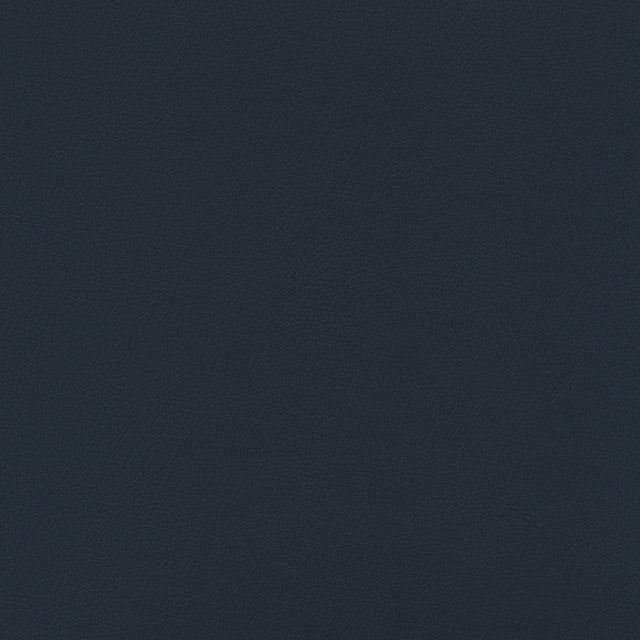 Enduratex Independence Navy 8626 Upholstery Fabric
