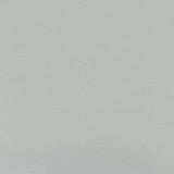 Enduratex Independence Platinum 8408 Upholstery Fabric