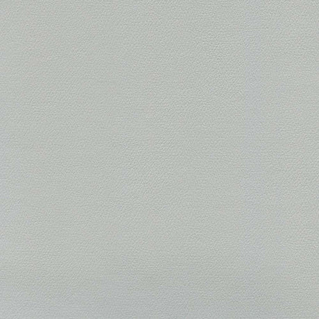 Enduratex Independence Platinum 8408 Upholstery Fabric