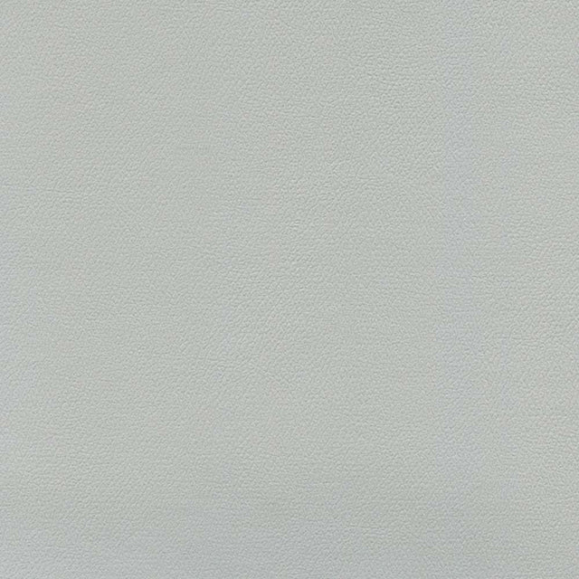 Enduratex Independence Platinum 8408 Upholstery Fabric