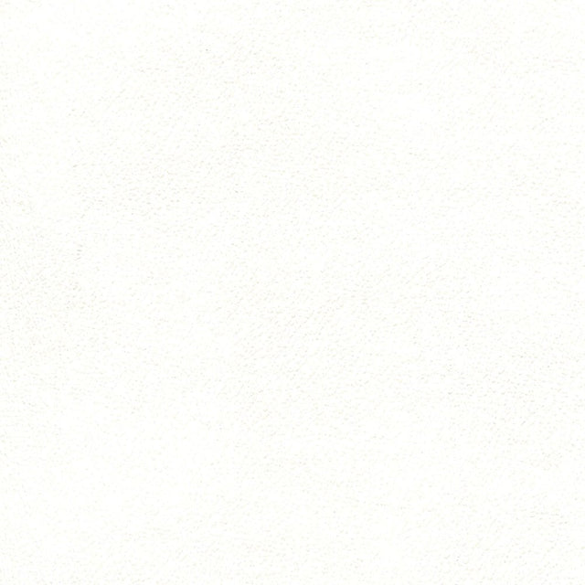 Enduratex Independence Snow White 8413 Upholstery Fabric