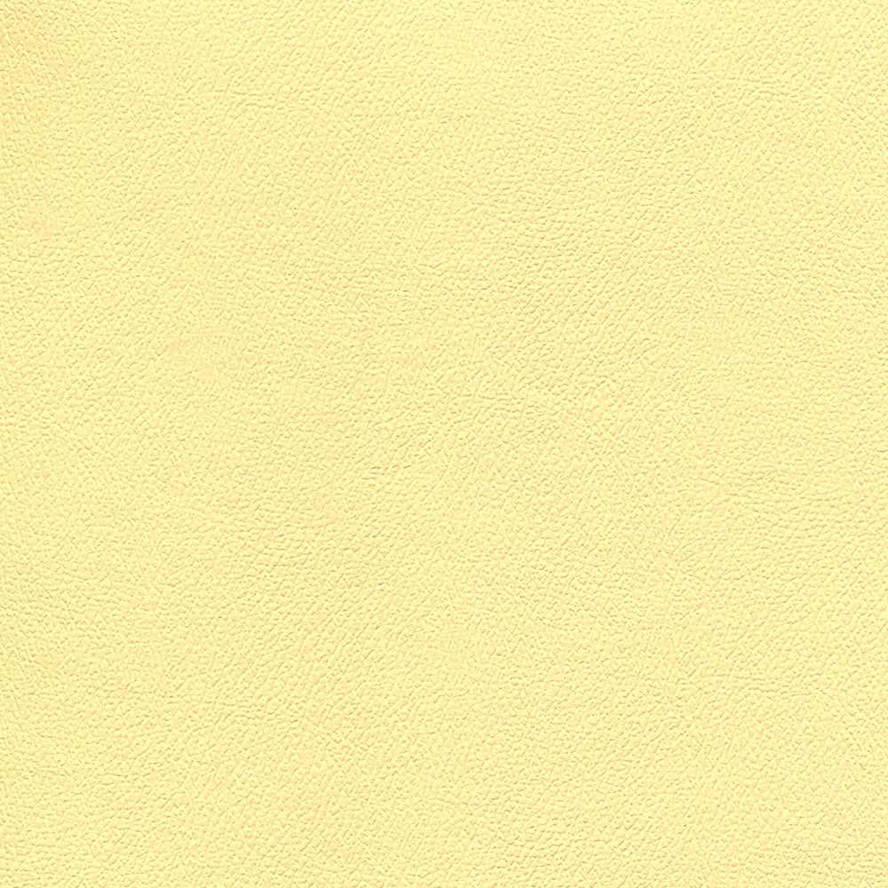 Enduratex Independence Sunny Disposition 8776 Upholstery Fabric