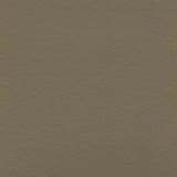 Enduratex Independence Taupe 8584 Upholstery Fabric