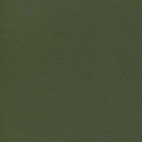 Enduratex Independence Thyme Is Money 8777 Upholstery Fabric