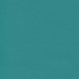 Enduratex Independence Turquoise 8411 Upholstery Fabric