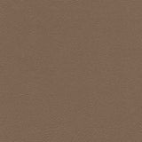 Enduratex Monticello Medium Beige 6891/84 Automotive / Marine Upholstery Fabric