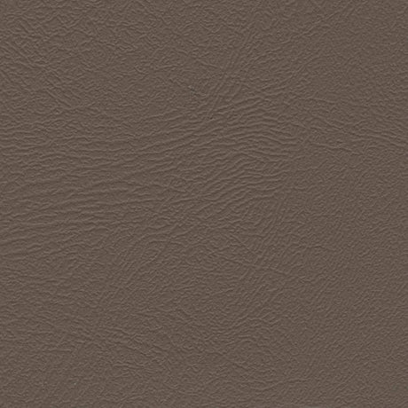 Enduratex Monticello Medium Neutral 7043/6009 Automotive / Marine Upholstery Fabric