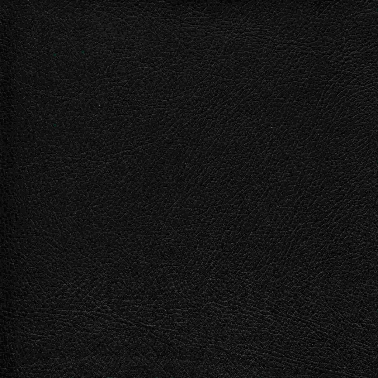 Enduratex Phantom Black Non-Perforated 001 Upholstery Fabric