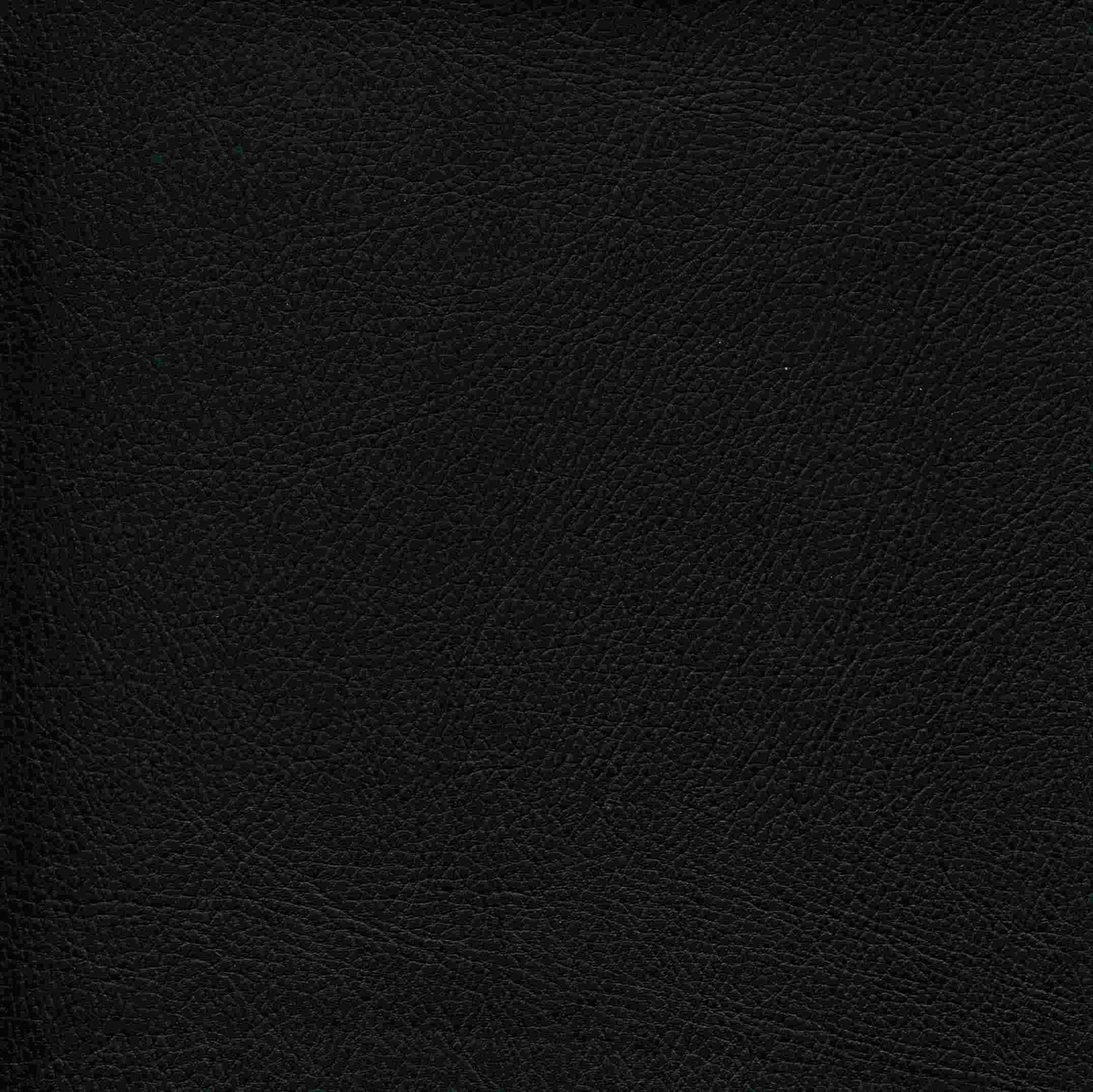 Enduratex Phantom Black Non-Perforated 001 Upholstery Fabric