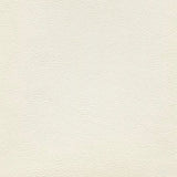 Enduratex Sierra Montana White 3718 Upholstery Fabric