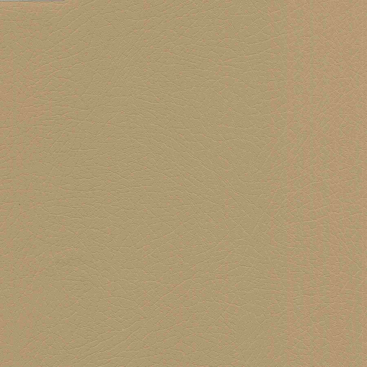 Enduratex Vaquero Chaparral 1008 Upholstery Fabric